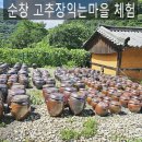 맑은샘전통식품 영농조합법인 (노기마을) | 순창 고추장익는마을 전통체험과 맛집 여행코스 가볼만한곳 청순바이츠 청국장 간식 구입
