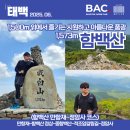[함백산] 시원한 바람과 풍광, 만항재 정암사 등산 코스(알레버스) - BAC 명산100