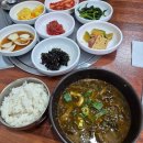 택지 솔올로 상 | 울릉도 독도여행 (3) : 독도 가는법 유람선 자리 꿀팁 포토스팟 효과 좋은 멀미약 파는곳