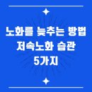 노화를 늦추는 방법 저속노화 습관 5가지 이미지