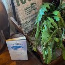 슬로우 남해 이미지