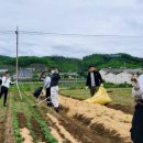 농업회사법인자연과사람