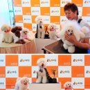 디비에스 주식회사 이미지