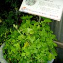 상수농장 이미지