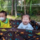 하마터어린이공원 이미지