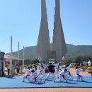 성웅태권도 이미지