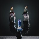 엘Gallery 이미지
