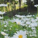 해피케어 이미지