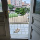 621 | [천안 숙소] 잔잔한 여유와 감성을 담은 무이621 숙박 후기