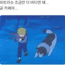 파트라슈 네이버블로그