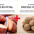 밤나무골 농장 이미지