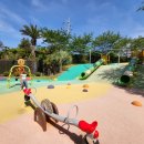 밤비노(소규모) 이미지