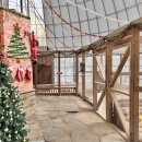 도토리 강아지 유치원 이미지