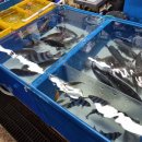 119호공원 이미지