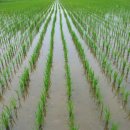 향원농장 이미지