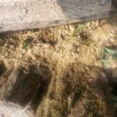 선남농장 이미지