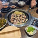 돈봤소