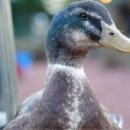 미문농장 이미지