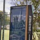 청라 문화1공원(녹청공원) 족구장 | 청라 족구장 풋살장