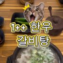 일광 한우 갈비탕 곰탕