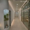 리틀포즈 반려동물 장례식장 | 대구 강아지장례식장 리틀포즈 반려동물 장례식장 따뜻한 개별 화장, 안심 가격