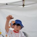 봉선부엉이체험마을 이미지