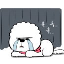 도그밀리