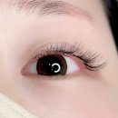 남성역 속눈썹 뷰티는 도도하다 | 러시안 볼륨 후기