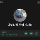 [이집트 day5] 아스완 아부심벨 투어 (프라이빗 택시 기사 추천) / 네페르타리, 필레 신전 후기