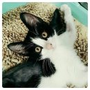 반석동물병원 이미지