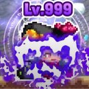 스트리트 컴플릿 이미지