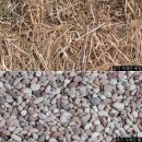 ＜멀칭＞ 피복 자재(mulch)의 종류와 특성 이미지