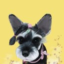 혜강병원 이미지