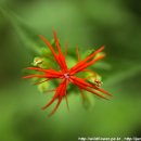 동자목장 이미지