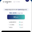 솔픽 Daum카페