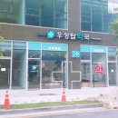고덕메디칼약국 이미지