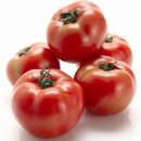 토마토 이미지