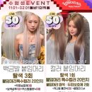 숲머리 | 수험생 할인 미용실 베이바이허슬기 서울숲점에서 붙임머리 애쉬그레이 염색 후기