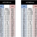 대한민국 남자 여자 평균키.몸무게 이미지