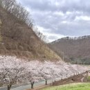 병산로 네이버블로그