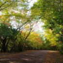 서귀포자연휴양림 이미지