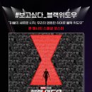 블랙위도우 이미지
