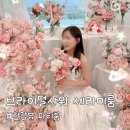 브라이덜샤워 파티룸 추천! 셰라미룸, 한강뷰 포토존