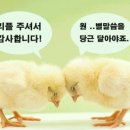 남양주사진관
