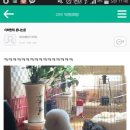 무민