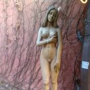 용인나무이야기 이미지