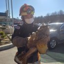 전라남도야생동물구조관리센터 이미지