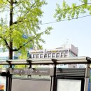 시그니아독일보청기 서울중구센터 이미지