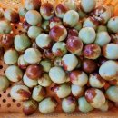 스마일농장 이미지