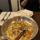 다피타(da pitta) 이미지